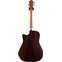 Furch Green Dc-SR Master's Choice Sitka Spruce/Indian Rosewood Back View