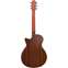Furch Green Gc-SR Sitka Spruce/Indian Rosewood Back View