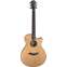 Furch Yellow Gc-CR Master's Choice Western Red Cedar/Indian Rosewood Front View
