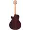 Furch Red Gc-SR Master's Choice Sitka Spruce/Indian Rosewood Back View