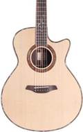 Furch Red Gc-SR Master's Choice Sitka Spruce/Indian Rosewood