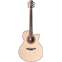 Furch Red Gc-SR Master's Choice Sitka Spruce/Indian Rosewood Front View