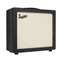 Supro Royale 1 x 12 Extension Guitar Cabinet Front View
