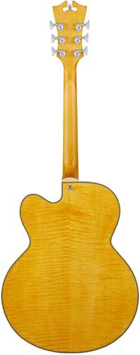 D'Angelico Premier EXL-1 Hollowbody Satin Honey Blonde D'Angelico Premier EXL-1 Hollowbody Satin Honey Blonde