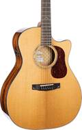 Cort Gold A6 Natural