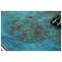 Mayones Regius 6 Eye Poplar/Swamp Ash Aquamarine Horizon Satine Bare Knuckle TKO (White) #RF2401834 Front View