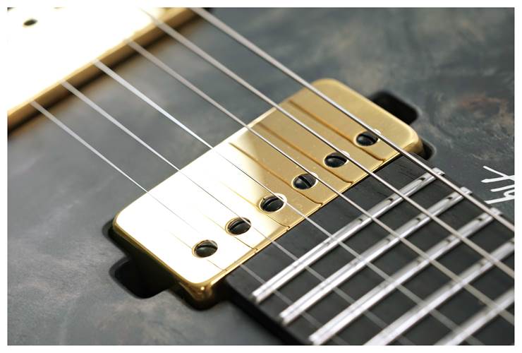 Mayones Hydra Elite 6 Eye Poplar/Mahogany Khaya Trans Black Satin Gold #HF2309658 Mayones Hydra Elite 6 Eye Poplar/Mahogany Khaya Trans Black Satin Gold #HF2309658