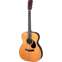 Eastman E20OM-MR-TC Madagascar Rosewood Front View