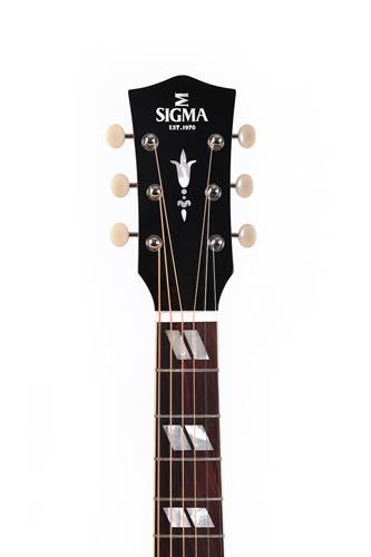 Sigma Special Edition SDM-SG6 Sigma Special Edition SDM-SG6