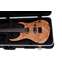 Ordo GC-2GEG Deluxe Electric Guitar ABS Hard Case Front View