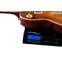 Gibson Custom Shop 59 Les Paul Standard Made 2 Measure Hand Selected Top Dark Butterscotch Burst Murphy Lab Light Aged #93448 Front View