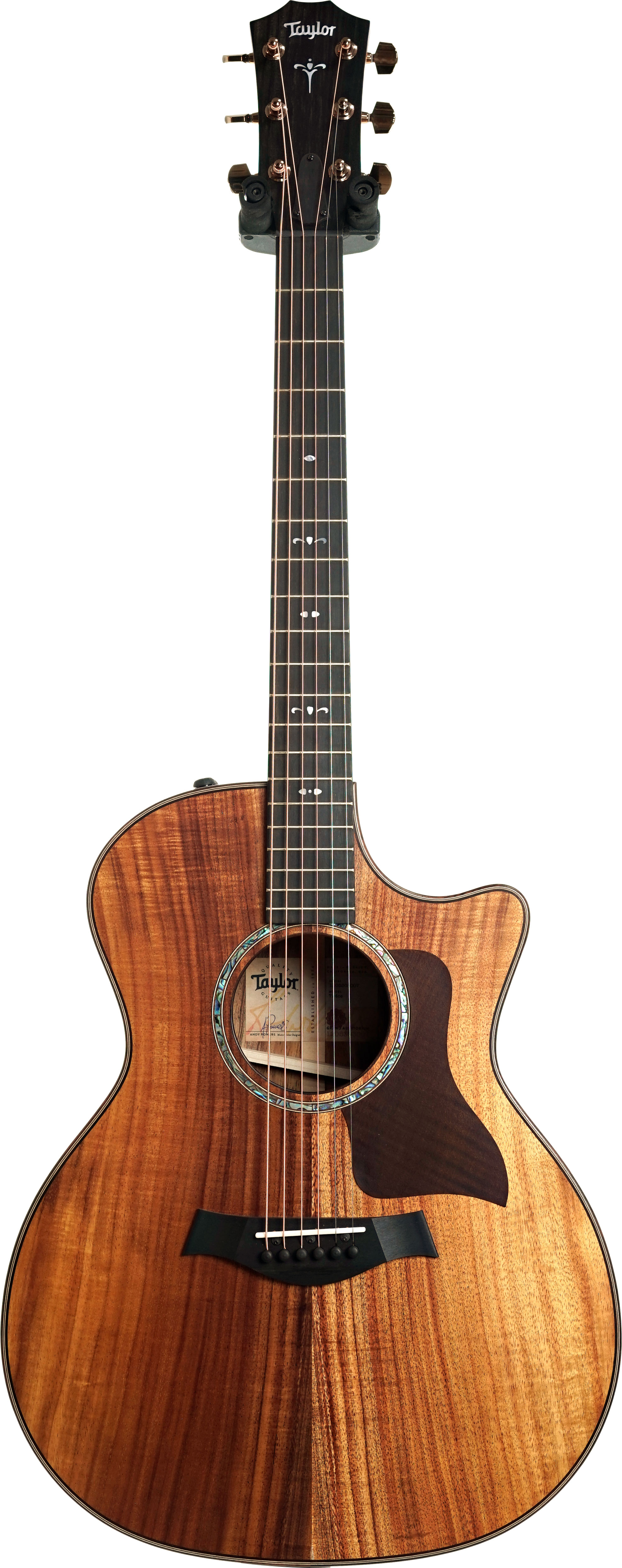 Taylor 724ce Grand Auditorium #1205303007