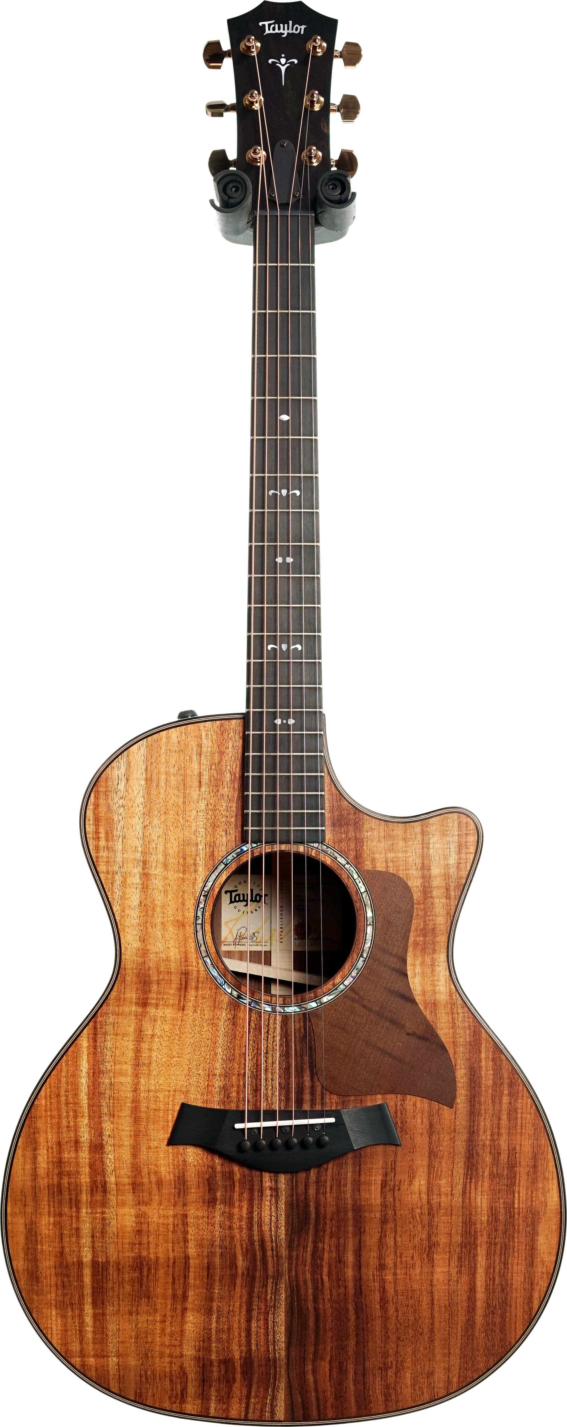Taylor 724ce Grand Auditorium #1204194102