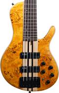Cort A5 Plus SC Bass Amber Open Pore (Ex-Demo) #IE211101843