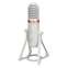 Yamaha AG01 White USB Condenser Microphone Front View