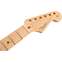 Fender American Professional Stratocaster Neck 22 Narrow Tall Fret 9.5 Radius Front View