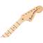 Fender American Special Stratocaster Neck 22 Jumbo Frets Maple Fingerboard Front View