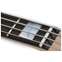 Fender Custom Shop Custom Classic Jazz Bass IV Chocolate 3 Tone Sunburst Rosewood Fingerboard #CZ568271 Front View