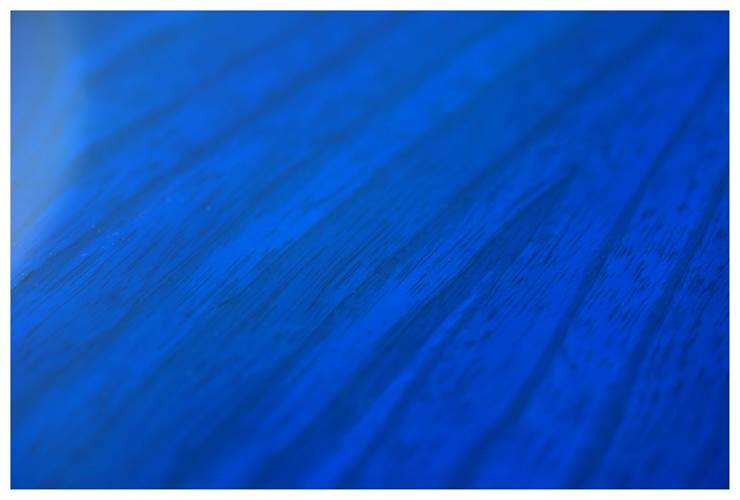 Fender Custom Shop Custom Classic Jazz Bass IV Sapphire Blue Transparent Rosewood Fingerboard #cz568257 Fender Custom Shop Custom Classic Jazz Bass IV Sapphire Blue Transparent Rosewood Fingerboard #cz568257