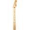 Fender Standard Series Stratocaster Neck 21 Medium Jumbo Frets Maple Fingerboard Front View