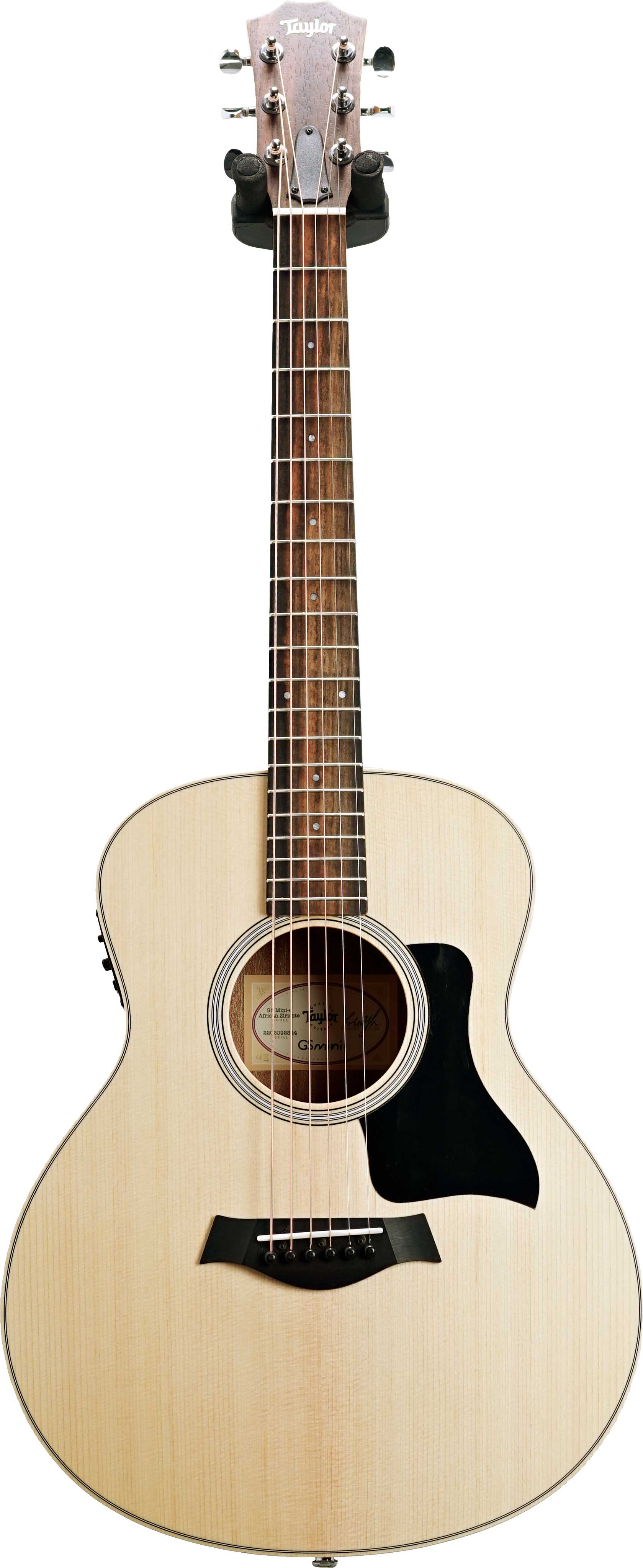 Taylor Limited Edition GS Mini-e African Ziricote #2202092324