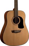 Washburn Apprentice D5 Dreadnought