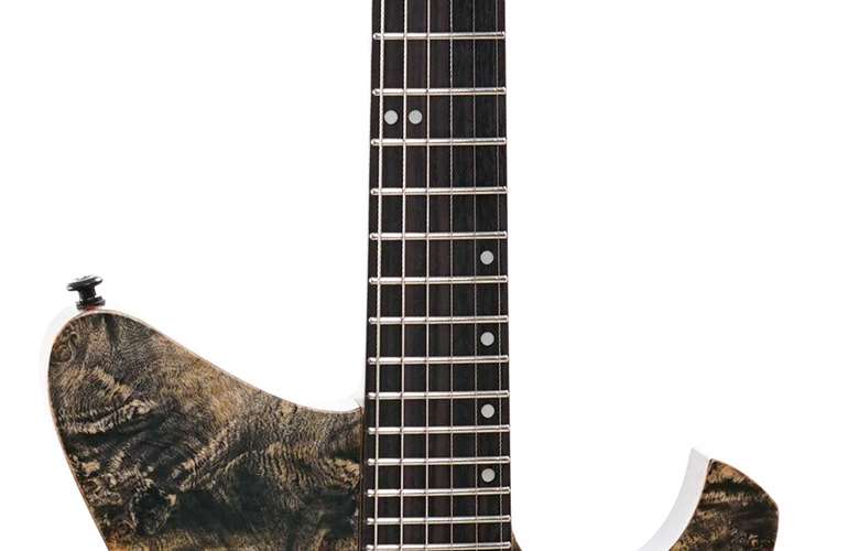 EART GW-2 Trans Black EART GW-2 Trans Black