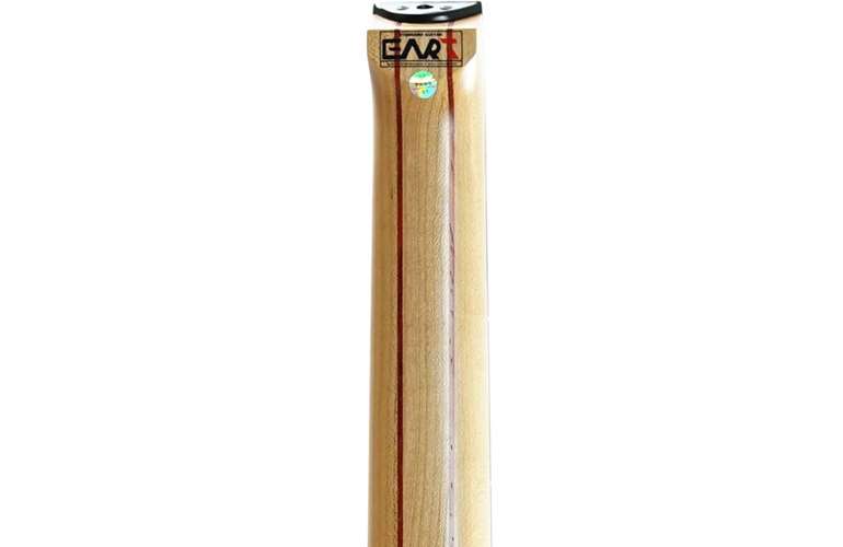 EART GW-2 Trans Blue EART GW-2 Trans Blue
