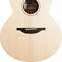 Sheeran by Lowden S Shape Equals Signature Limited Edition  