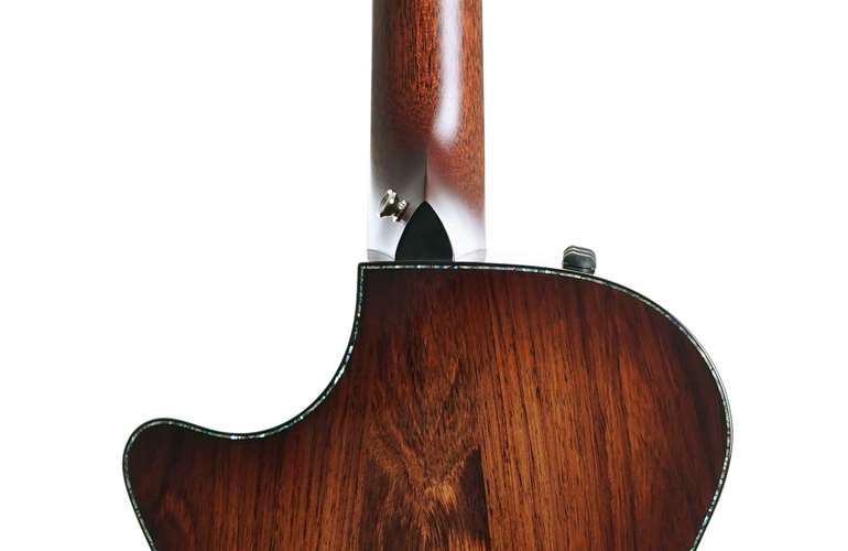 Taylor Presentation Series PS12ce 12 Fret Grand Concert Taylor Presentation Series PS12ce 12 Fret Grand Concert