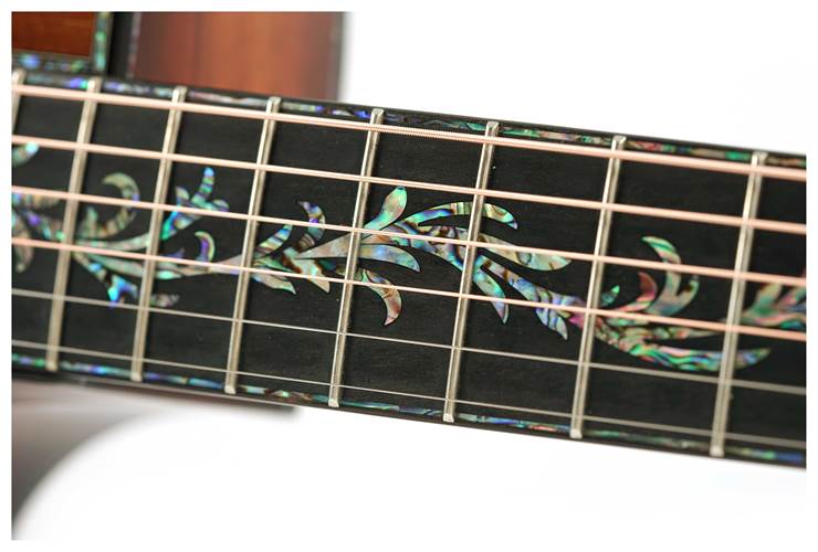 Taylor Presentation Series PS12ce 12 Fret Grand Concert Taylor Presentation Series PS12ce 12 Fret Grand Concert