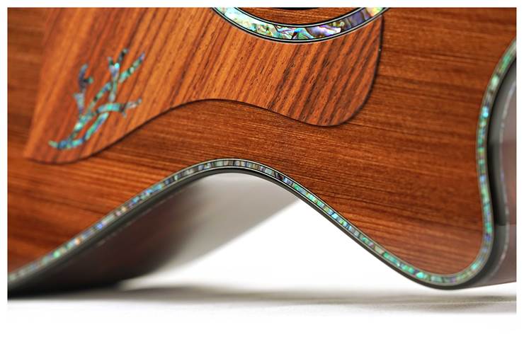 Taylor Presentation Series PS12ce 12 Fret Grand Concert Taylor Presentation Series PS12ce 12 Fret Grand Concert