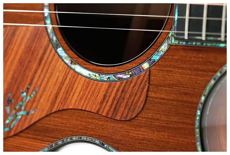 Taylor Presentation Series PS12ce 12 Fret Grand Concert Taylor Presentation Series PS12ce 12 Fret Grand Concert