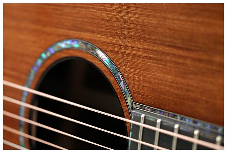 Taylor Presentation Series PS12ce 12 Fret Grand Concert Taylor Presentation Series PS12ce 12 Fret Grand Concert