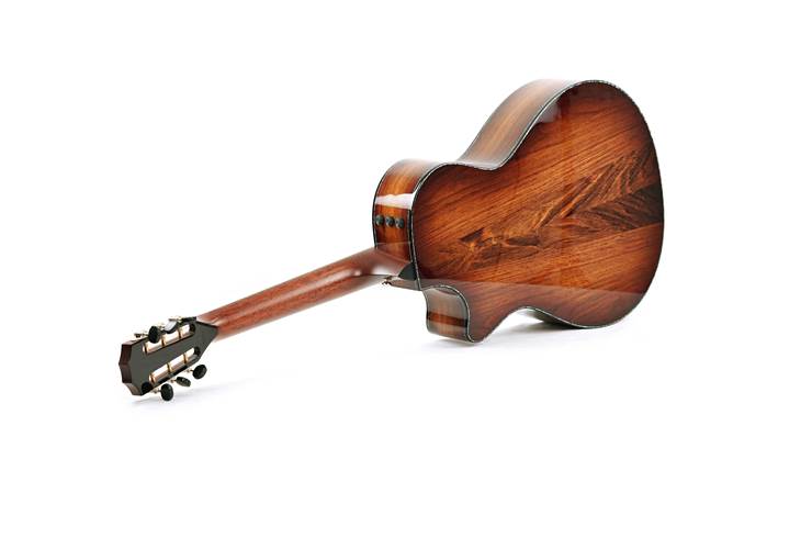 Taylor Presentation Series PS12ce 12 Fret Grand Concert Taylor Presentation Series PS12ce 12 Fret Grand Concert