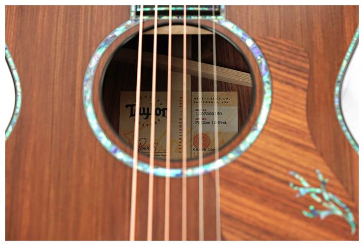 Taylor Presentation Series PS12ce 12 Fret Grand Concert Taylor Presentation Series PS12ce 12 Fret Grand Concert