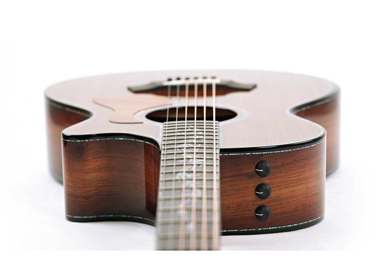 Taylor Presentation Series PS12ce 12 Fret Grand Concert Taylor Presentation Series PS12ce 12 Fret Grand Concert