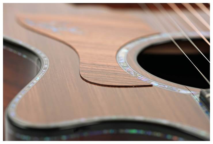 Taylor Presentation Series PS12ce 12 Fret Grand Concert Taylor Presentation Series PS12ce 12 Fret Grand Concert