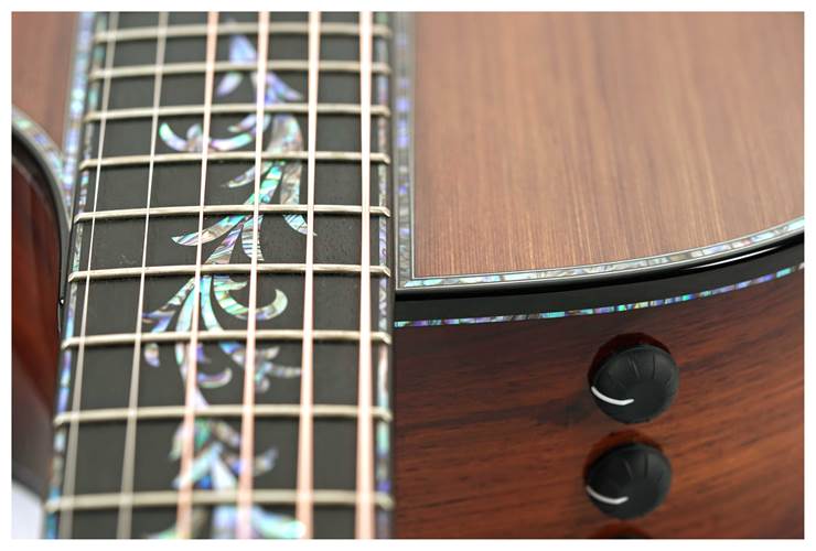 Taylor Presentation Series PS12ce 12 Fret Grand Concert Taylor Presentation Series PS12ce 12 Fret Grand Concert