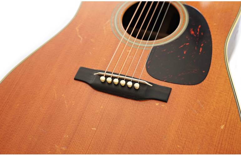 Martin D-28 Rich Robinson Custom Signature Edition Martin D-28 Rich Robinson Custom Signature Edition