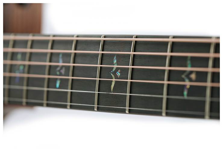 Taylor BTO Custom Grand Auditorium Sinker Redwood/Rosewood Taylor BTO Custom Grand Auditorium Sinker Redwood/Rosewood