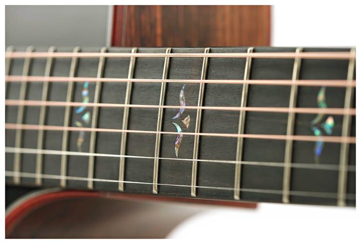 Taylor BTO Custom Grand Auditorium Sinker Redwood/Rosewood Taylor BTO Custom Grand Auditorium Sinker Redwood/Rosewood