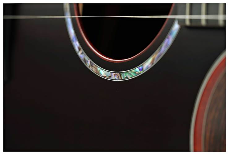 Taylor BTO Custom Grand Auditorium Sinker Redwood/Rosewood Taylor BTO Custom Grand Auditorium Sinker Redwood/Rosewood