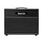 Bad Cat Hot Cat 1x12 Extension Guitar Cabinet Back View