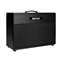 Bad Cat Lynx 2x12 Closed Back Extension Guitar Cabinet  Front View