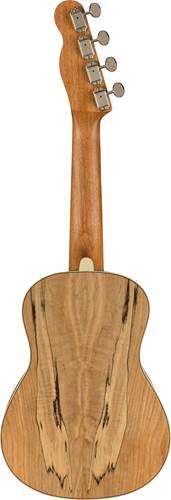 Fender Zuma Exotic Concert Ukulele Walnut Fingerboard Spalted Maple Fender Zuma Exotic Concert Ukulele Walnut Fingerboard Spalted Maple