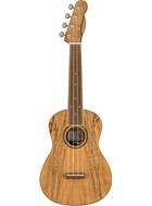Fender Zuma Exotic Concert Ukulele Walnut Fingerboard Spalted Maple