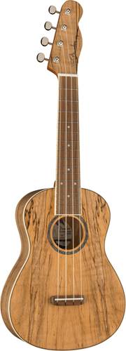 Fender Zuma Exotic Concert Ukulele Walnut Fingerboard Spalted Maple Fender Zuma Exotic Concert Ukulele Walnut Fingerboard Spalted Maple