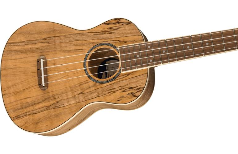 Fender Zuma Exotic Concert Ukulele Walnut Fingerboard Spalted Maple Fender Zuma Exotic Concert Ukulele Walnut Fingerboard Spalted Maple