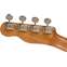 Fender Zuma Exotic Concert Ukulele Walnut Fingerboard Spalted Maple Front View